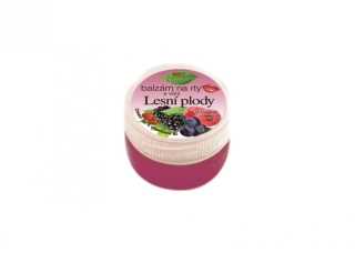 Balzám na rty LESNÍ PLODY 25 ml