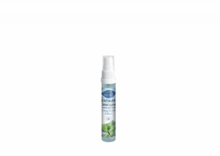 Dentamint ústní sprej 27 ml LONG FRESH EFFECT