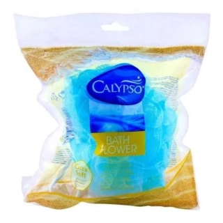 Calypso Mycí houba 1 ks